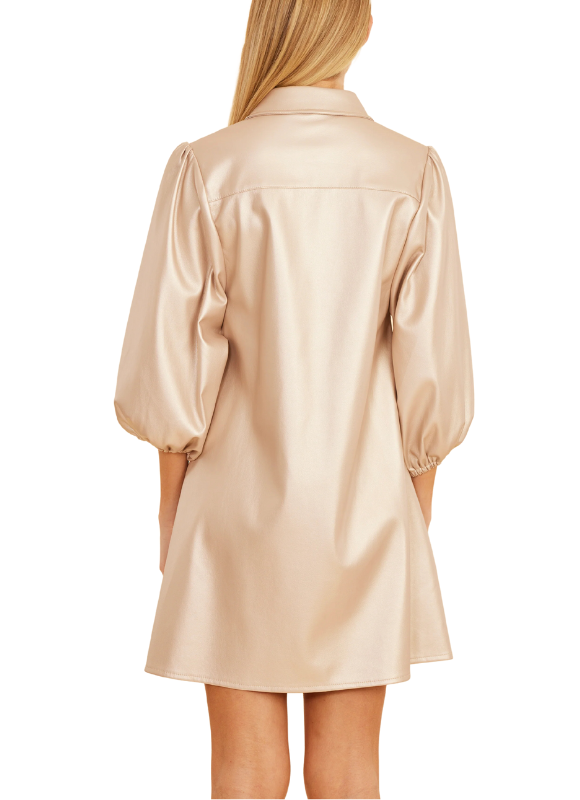 Dolce Cabo Metallic Faux Leather Puff Sleeve Dress