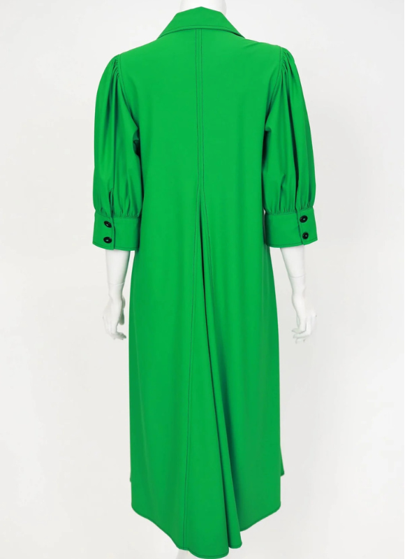 IC Collection Point Collar Dress